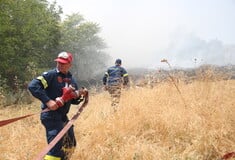 Φωτιά στην Πρέβεζα στην περιοχή Μονολιθίου