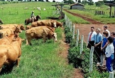 Βραζιλία: Η απειλή Τραμπ για δασμούς 50% σε πορτοκάλια, καφέ και βοδινό φέρνει αναταραχή στους αγρότες