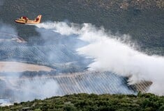 Θεσσαλονίκη: Μαίνεται η φωτιά στην Άσσηρο