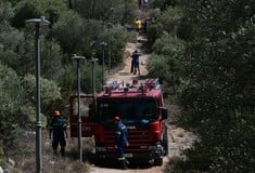 Φωτιά στου Ζωγράφου: Ξεκίνησε από αδήλωτα μελίσσια εντός της Πολυτεχνιούπολης