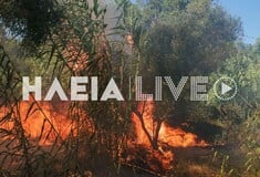 ΦΩΤΙΑ ΤΩΡΑ ΣΤΗΝ ΗΛΕΙΑ