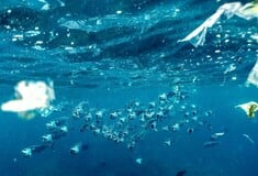 Μικροπλαστικά: Η «μάχη Δαβίδ και Γολιάθ» για το περιβάλλον