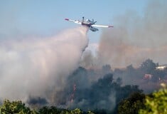 ωτιά στην Ηλεία: Συνελήφθη γυναίκα για τρεις πυρκαγιές