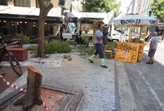 Κλειστός ο Εθνικός Κήπος λόγω των ανέμων - Πτώση δέντρου στην Ερμού