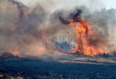 Συναγερμός για φωτιά την Παρασκευή: Σε «κόκκινο συναγερμό» Αττική, Εύβοια και Πελοπόννησος