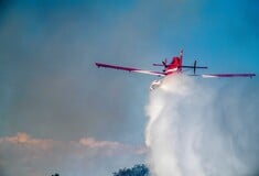 Φωτιά τώρα στην Βοιωτία - Μήνυμα 112 για ετοιμότητα