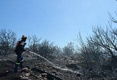Φωτιά στην περιοχή Φίχτι Αργολίδας