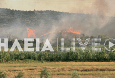 Φωτιά στο Χελιδόνι Αρχαίας Ολυμπίας: Εστάλη 112 - Υπάρχει εγκλωβισμένος σε δυσπρόσιτο σημείο