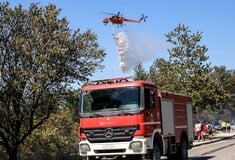 Φωτιά τώρα στα Μέγαρα