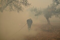Φωτιά στην Κερατέα: «Έχει κατεύθυνση προς τον δήμο Σαρωνικού», λέει ο κοινοτάρχης
