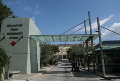Γεωργιάδης για θάνατο Λένας Σαμαρά: Ο νευρολόγος του Σισμανόγλειου ζήτησε τη μεταφορά της στον Ευαγγελισμό
