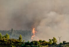 Φωτιά τώρα στο Λεοντάρι Αρκαδίας