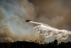 Φωτιά στην Αρχαία Ολυμπία: Διάσπαρτες εστίες επιχειρούν να ελέγξουν οι πυροσβεστικές δυνάμεις
