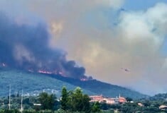 Φωτιά τώρα στα Πετράλωνα Μεσσηνίας - Μήνυμα 112 στους κατοίκους