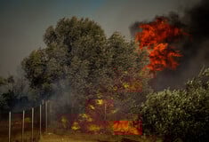 Φωτιά στη Ζάκυνθο: Επιχειρούν δύο εναέρια