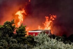 Ανεξέλεγκτη η φωτιά στην Αχαΐα: Κάηκαν σπίτια, οι φλόγες πέρασαν στη ΒΙΠΕ - Προς Πάτρα το μέτωπο