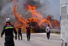 Φωτιές στην Τουρκία: Εκκενώθηκαν χιλιάδες άνθρωποι στα Δαρδανέλια - Ανεξέλεγκτη η κατάσταση