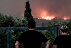 Φωτιά στην Αχαΐα: Μήνυμα 112 για εκκένωση της περιοχής Βούντενη - «Απομακρυνθείτε προς Πάτρα»
