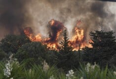 Φωτιές τώρα: Πολύ δύσκολη και η σημερινή ημέρα, λέει ο εκπρόσωπος της Πυροσβεστικής