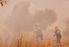 Φωτιές: Αναζωπυρώσεις σε Αχαΐα και Χίο - Σε ύφεση τα μέτωπα σε Άρτα, Κεφαλονιά, Ζάκυνθο