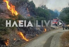Φωτιά τώρα στη Ζαχάρω Ηλείας: Καίγεται αγροτοδασική έκταση στο Ξηροχώρι