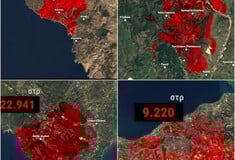 Φωτιές τώρα: Δορυφορικές εικόνες αποκαλύπτουν τις καμένες εκτάσεις σε Πάτρα, Χίο, Ζάκυνθο και Πρέβεζα