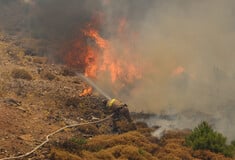 Φωτιά: Χωρίς ενεργό μέτωπο η Χίος - Σε ύφεση η πυρκαγιά στην Αχαΐα