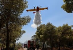 Φωτιά τώρα στην Αργολίδα - Επιχειρούν επτά εναέρια μέσα 