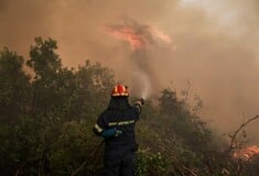 Φωτιά στην Αργολίδα: Πυροσβέστης έπεσε από ύψος σε βράχια και τραυματίστηκε σοβαρά