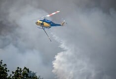 Φωτιά τώρα στα Μεσοχώρια Ευβοίας 
