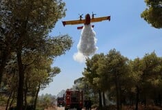 Φωτιά τώρα στη Μάνη