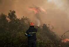 Μυτιλήνη: 57χρονος ομολόγησε στις Αρχές τέσσερις εμπρησμούς στο νησί