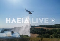 Ηλεία: Βελτιωμένη η εικόνα της φωτιάς - Σε εξέλιξη η κατάσβεσή της
