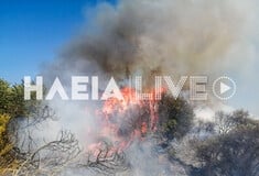 Φωτιά τώρα στην Ηλεία