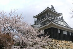 Hamamatsu: Η ιαπωνική πόλη που προσελκύει μετανάστες για να αντιστρέψει την πληθυσμιακή πτώση