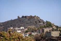 Φωτιές στη Χίο: Το 22% του νησιού έχει καεί από το 2016 – Ρεκόρ καταστροφών το 2025