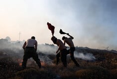«Η μόνη καλλιέργεια που σώθηκε είναι της καταναλωτικής πλάνης»
