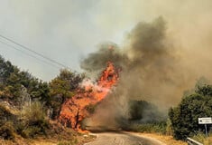 Φωτιά τώρα στα Μιτζαίικα Αχαΐας: Καίγεται δασική έκταση