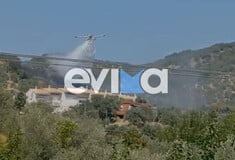 Φωτιά στην Εύβοια: Καίει κοντά σε σπίτια - Σε εξέλιξη οι προσπάθειες κατάσβεσης