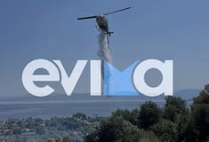 Εύβοια: Υπό έλεγχο το μέτωπο της φωτιάς - Οι φλόγες έφτασαν κοντά σε σπίτια