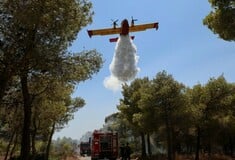 Φωτιά τώρα στην Εύβοια: Επιχειρούν έξι εναέρια μέσα 