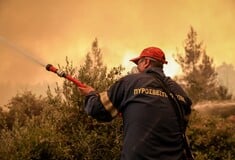 Φωτιά τώρα στη Θεσπρωτία - Ήχησε το 112