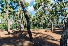 Γουδί: Κλείνει το Άλσος Χωροφυλακής μετά τον εντοπισμό παράνομου χώρου ταφής ζώων