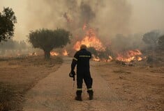 Πολύ υψηλός κίνδυνος πυρκαγιάς σε τρεις περιοχές τη Δευτέρα
