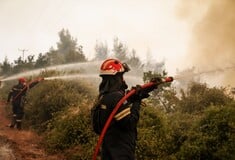 Φωτιά τώρα στην Καστοριά - Καίει δάσος στο Μακροχώρι