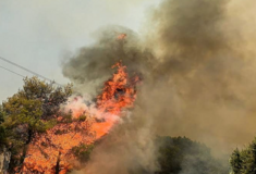 Φωτιά τώρα στην Παιανία: Εστάλη 112