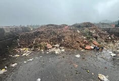 Βούτηξε μέσα σε 18 τόνους σκουπιδιών για να βρει τις βέρες της συζύγου του και τα κατάφερε
