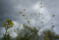 Καιρός - Ζιακόπουλος: Ψυχρές αέριες μάζες δημιουργούν αστάθεια το νέο εικοσιτετράωρο
