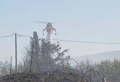 ΦΩΤΙΑ ΤΩΡΑ ΛΑΥΡΙΟ