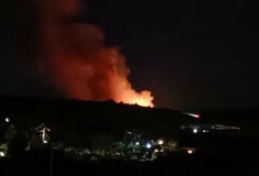 Σαλαμίνα: Η φωτιά καίει κοντά σε σπίτια - Ήχησε το 112 στην περιοχή
